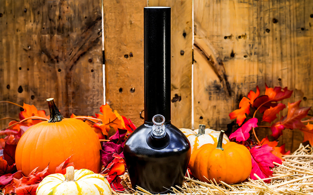Black armored Chill Steel Pipe outside in front of fence surrounded by pumpkins