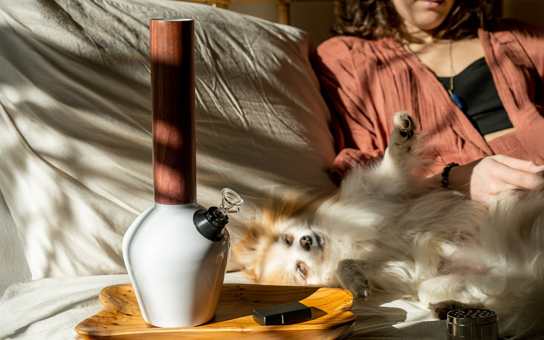 Chill Steel Pipes Accessories You Need