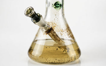 Glass bong with water and plant material